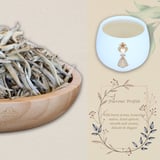 11-2-SVND-2 nd Product Page.jpg