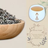 12-2-WEVST-2 nd Product Page.jpg